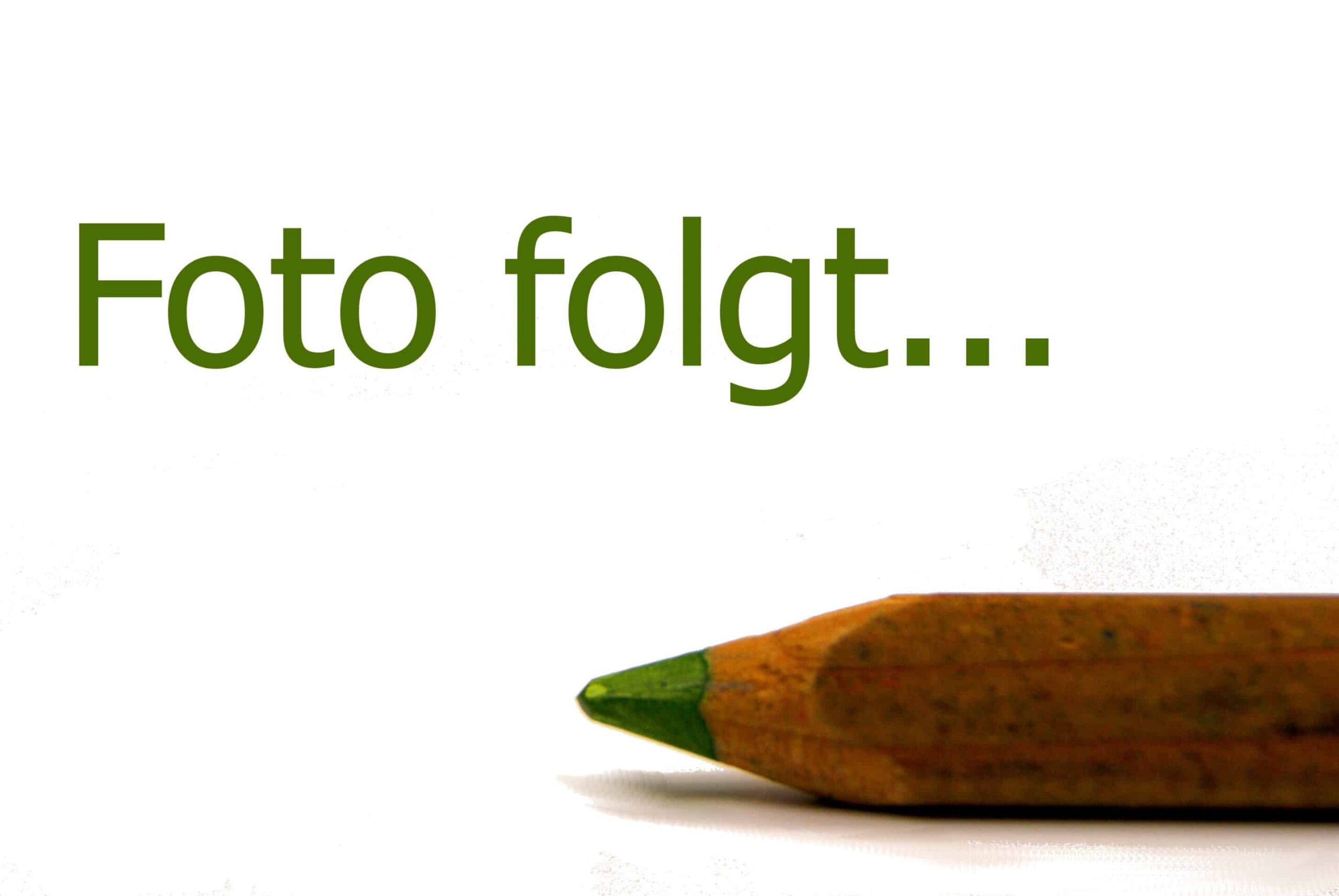 Fotofolgt